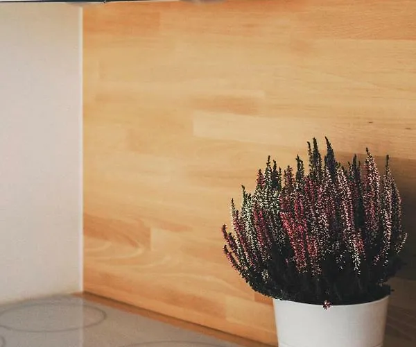 Pobookowane Stocznia Gdansk